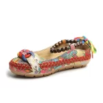 CT489 – retro shallow mouth embroidered shoes (1)