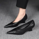 CT1282 – Spring and Autumn Fairy Style Pointed Toe Wedge Heels (2)