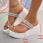 CT342 – Wedge High-Heeled Thick-Soled Slippers (1)