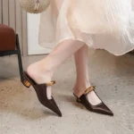 CT1308 – Pointed-Toe with Metal Chunky Heels (2)